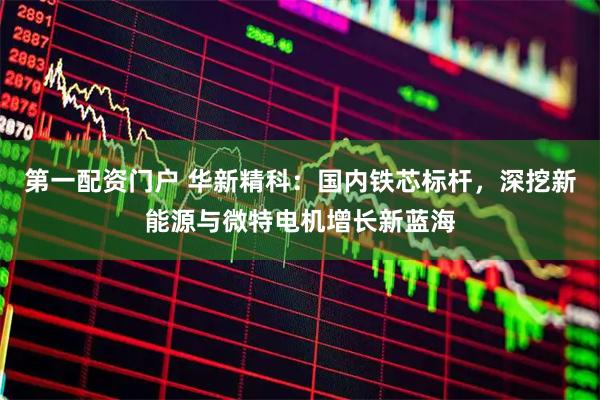 第一配资门户 华新精科：国内铁芯标杆，深挖新能源与微特电机增长新蓝海