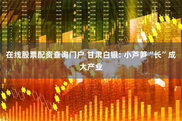 在线股票配资查询门户 甘肃白银: 小芦笋“长”成大产业