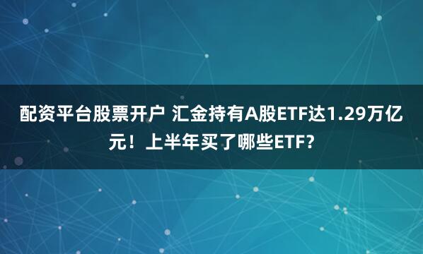 配资平台股票开户 汇金持有A股ETF达1.29万亿元！上半年买了哪些ETF？