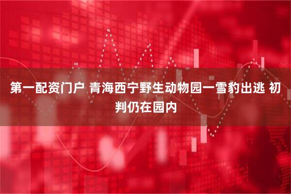 第一配资门户 青海西宁野生动物园一雪豹出逃 初判仍在园内